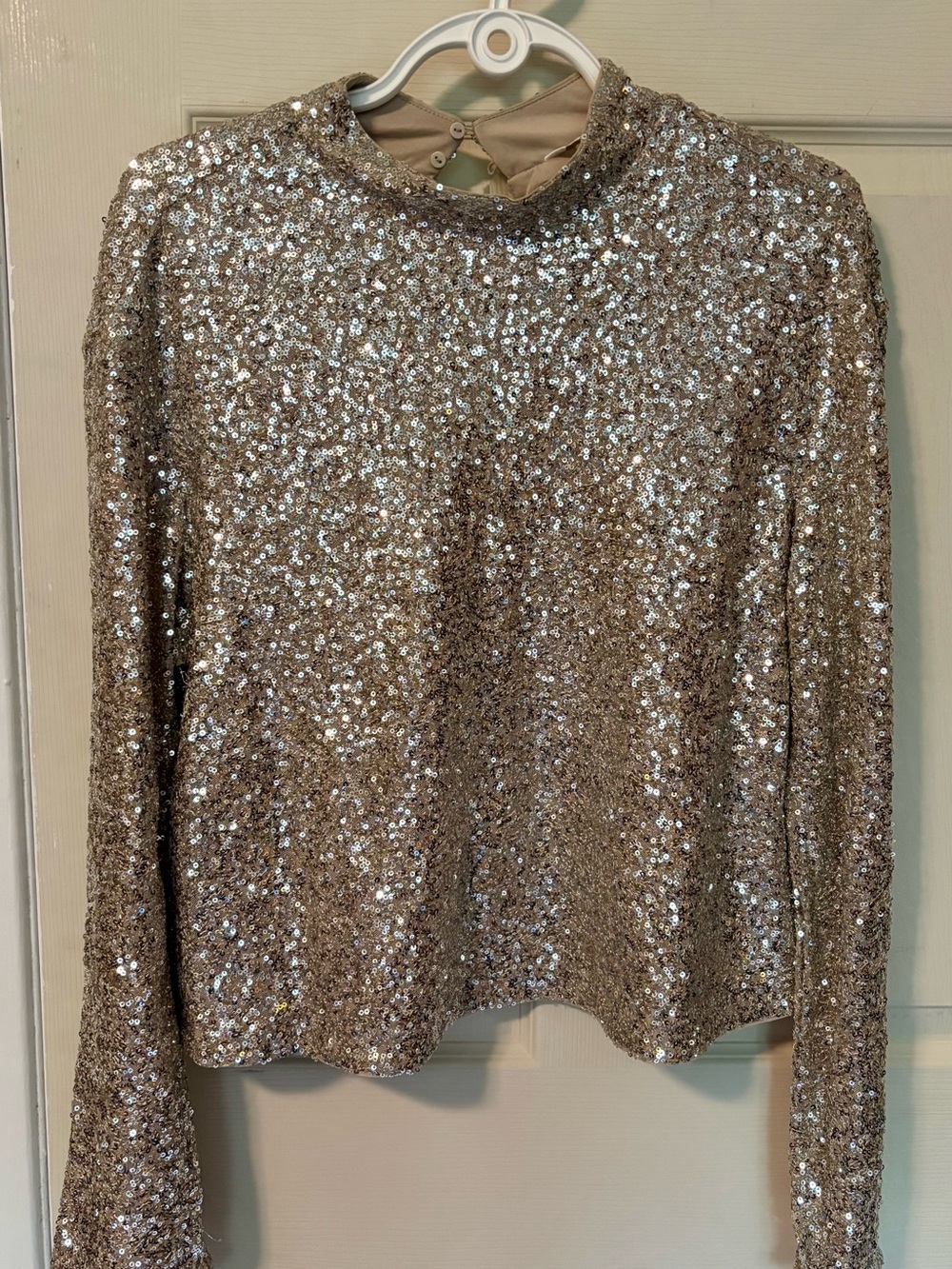 H&M Champagne Sequin Long-Sleeve Top